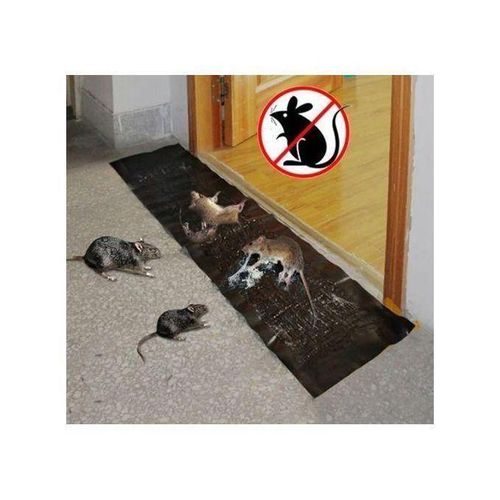 Large Size Catcher Rat Gum, Rodent Rat Glue