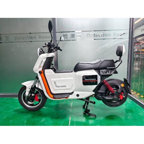 PANTERAS U2 Electric E-Bike - 48V Lithium Battery, 2-Seater, Disc Brakes, LED Display, Backrest for Adults with 2 years warranty