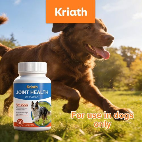 Dog treatment, supplement for dog, dog supplement, dog infection treatment, dog care, drug for dogs