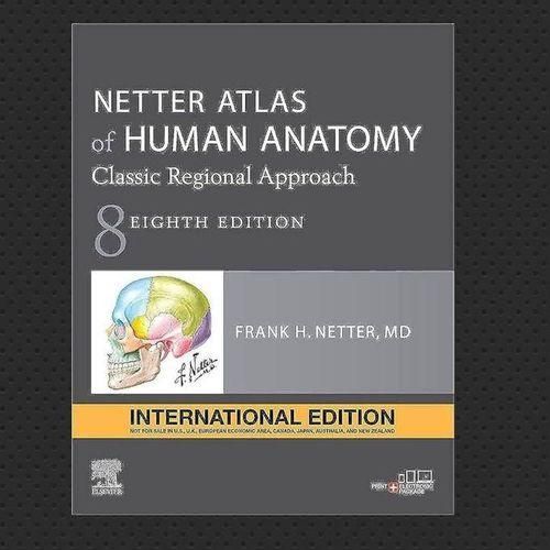 Atlas Of Human Anatomy By Frank Netter