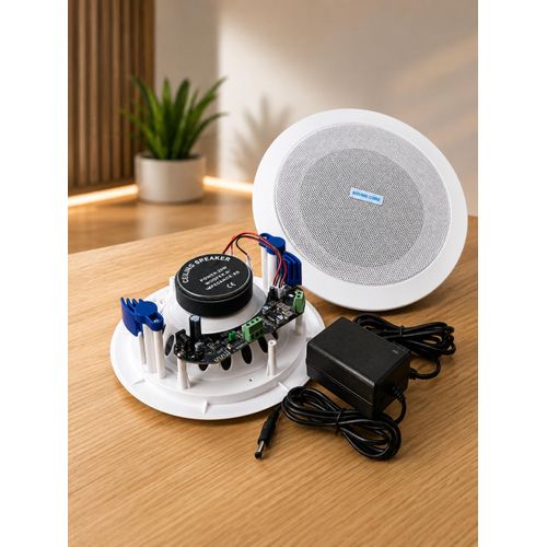 20W CEILING SPEAKERS
