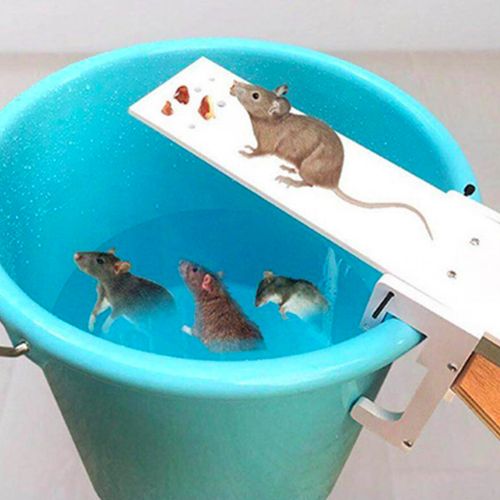 Seesaw Mouse Catcher/ Rat Trap