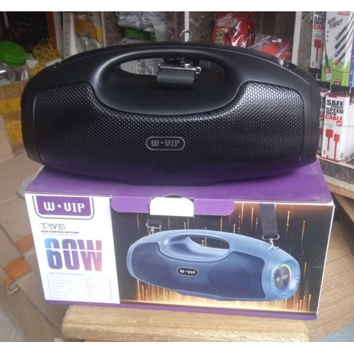 W.VIP-60W Portable Wireless Bluetooth Speaker With Radio