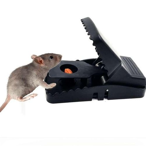 Reusable Mouse & Rat Trap – Durable Rodent Catch Trap. 2Pcs