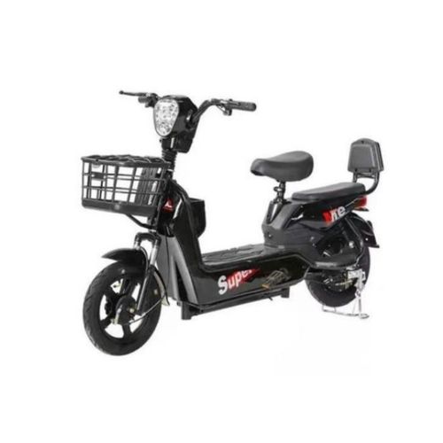 Heavy Duty Electric Bike