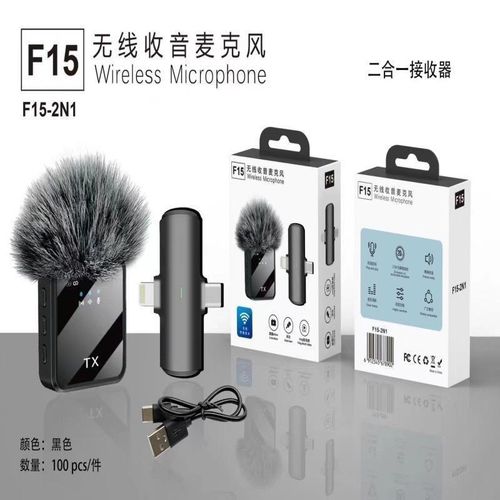 2in1 Wireless Microphone