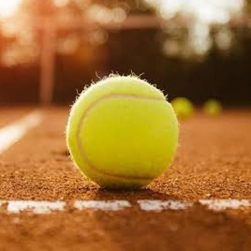 Tennis Ball Sports Tournament Outdoor Fun Cricket Beach Activity Game