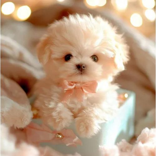 Hot selling plush electric toy dog walks and barks smart pet dog