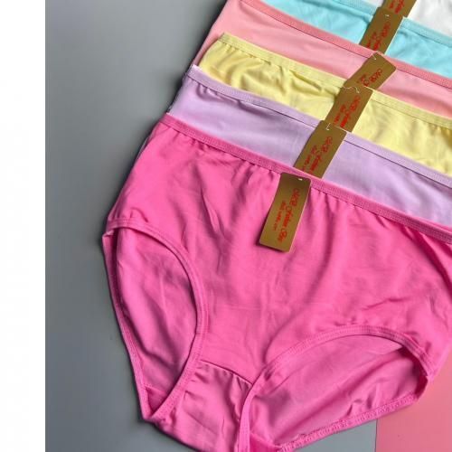 Ladies Panties Set Of 6 In 1