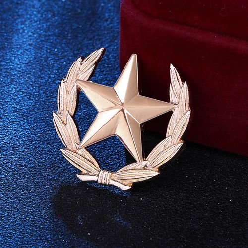 Five Pointed Star Men's Brooch