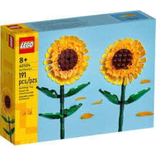 40524 SUNFLOWERS
