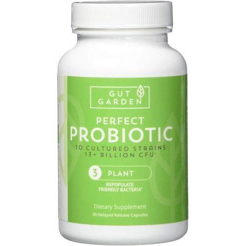 Perfect Probiotic for Digestive Health - Leaky Gut Support, Gut Health Supplement, 13 Billion CFU 10 Strains, 30 Delayed Release Capsules
