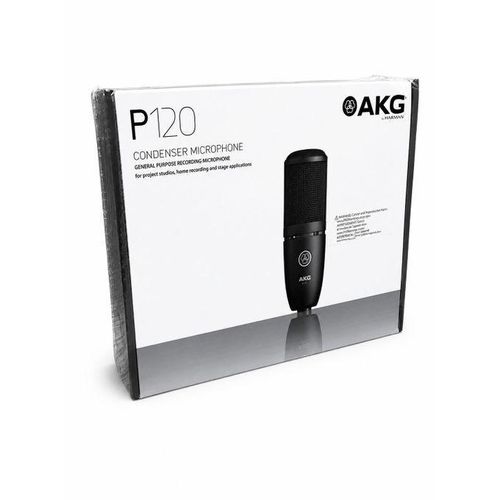 P120 Condenser studio recording microphone