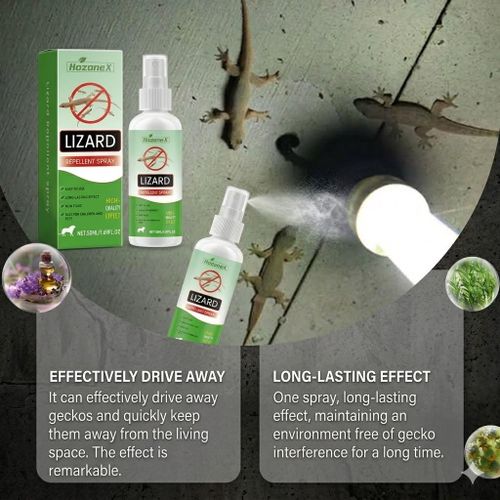 Fast Acting Non-Toxic Spray for Eliminating Reptile Presence Without Harmful Smell or Residue Fast Acting Anti-Lizard Solution for Agama Lizard, House Gecko, Wall Gecko, Skink Control Long Lasting Non-Toxic Pest Control Spray