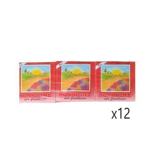 Block Air Fresheners (12 Packs)