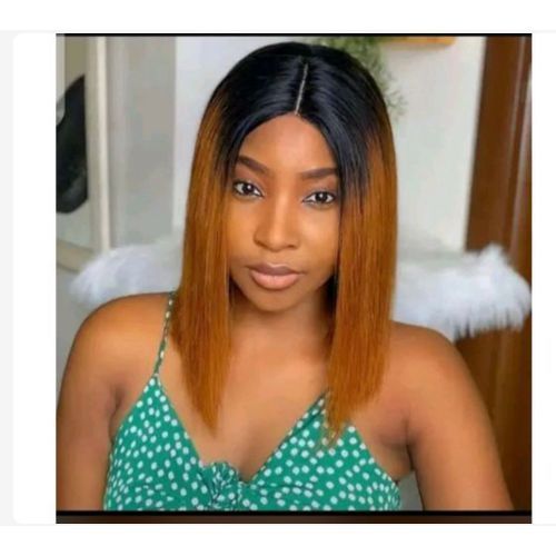 2tone Blunt Wig With Closure T1/30
