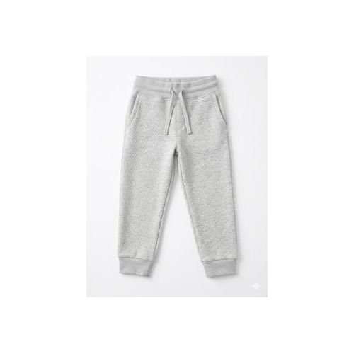 Baby Boys Stylish Joggers