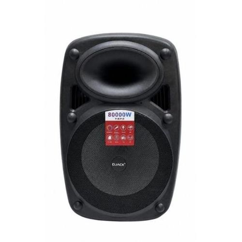 15 public address system with 2 wireless mic