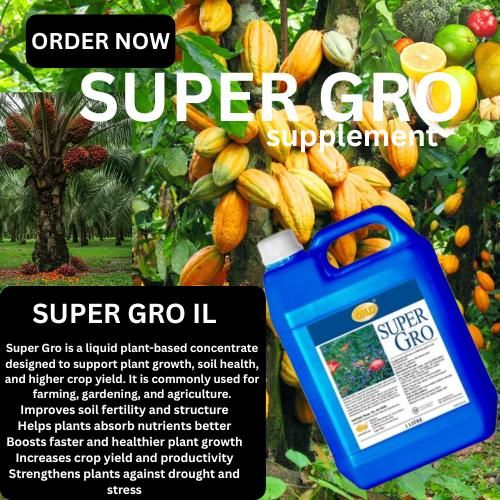 Super Gro - 1 Litre (Single)