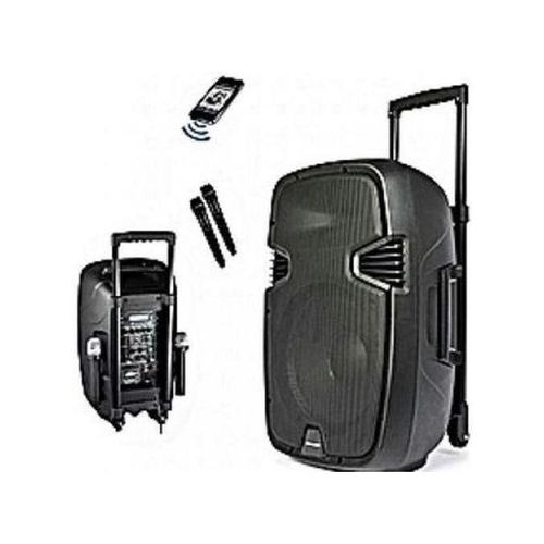 15'' Bluetooth Rechargeable Public Address System With 2 Wireless Microphones.USB Port,SD Port And FM Radio