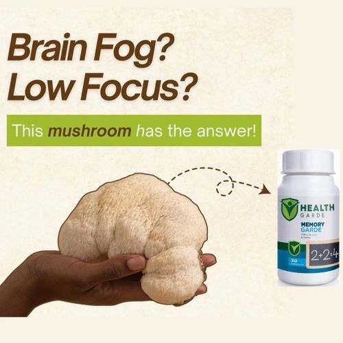 Memory Garde (With choline, lion’s mane and Bacopa Monneiri )
