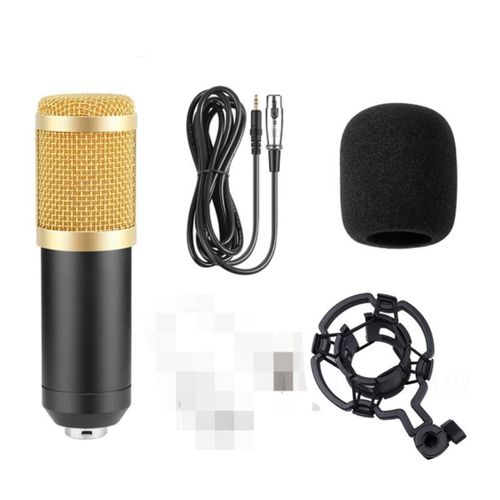 BM800 Professional Condenser Microphone with Shock Mount for Studio, Video, Radio & Computer Recording