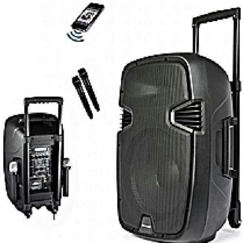 8'' Rechargeable Public Address System,Bluetooth 2 Mic