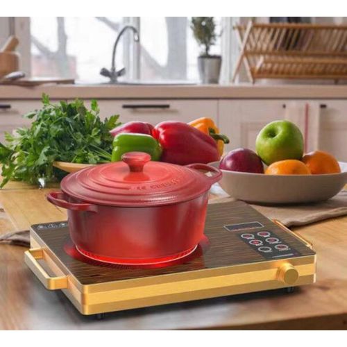 Intelligent Infrared Ceramic Electric Hotplate - Prepaid Meter/ Solar Inverter Friendly