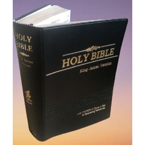 Holy Bible KJV Compact Reference,Easy to read,Concordance,End-of-Verse References,Words of Christ in Red-Leather