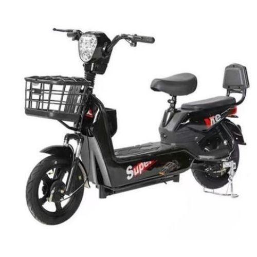 Heavy Duty Electric Bike