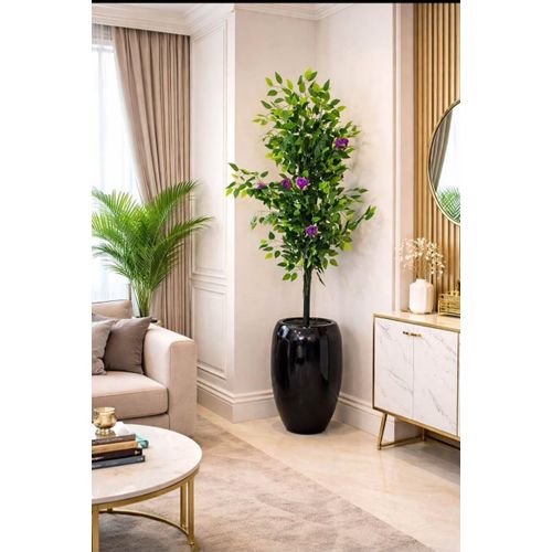 Tall Artificial Ficus & Purple Rose Floral Tree in Glossy Black Pot with free gift