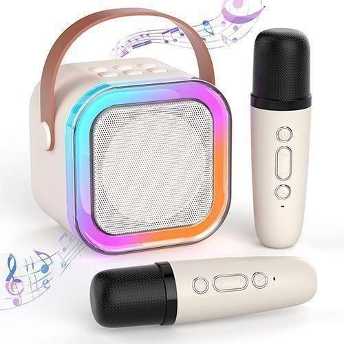Outdoor home portable wireless Bluetooth microphone smart speaker -2 microphones