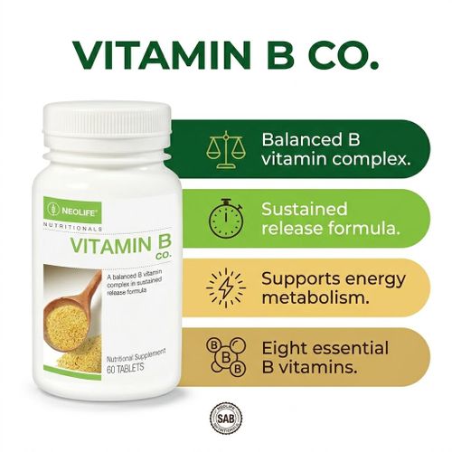 NeoLife Vitamin B Complex – Sustained Release for All Day Energy Nerve Support and Stress Relief 60 Tablets