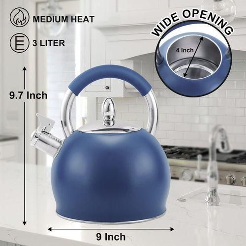 Whistling Tea Kettle for Stove Top Stainless Steel Tea Pot with Ergonomic Silicone Handle Teapot