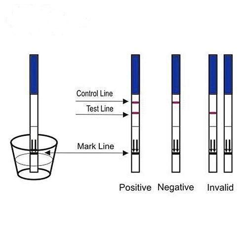 2PCS PREGNANCY TEST STRIPS