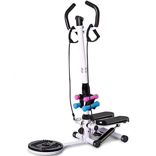 Standing Stepper With Twister, Toning Rope And Dumbbells