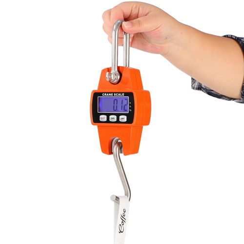 300kg Electronic Hanging Crane Scale, Portable High-Precision