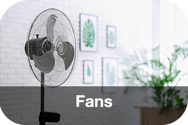 Fan