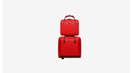 Travel Luggage Sets