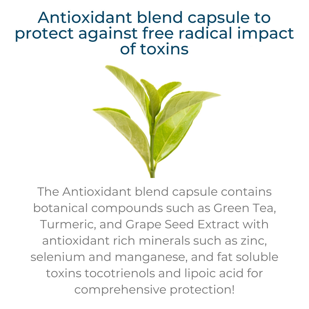 green tea leaf as antioxidant ingredient