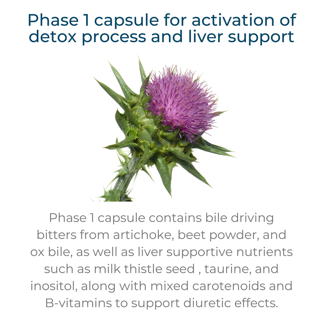milk thistle flower for detoxification