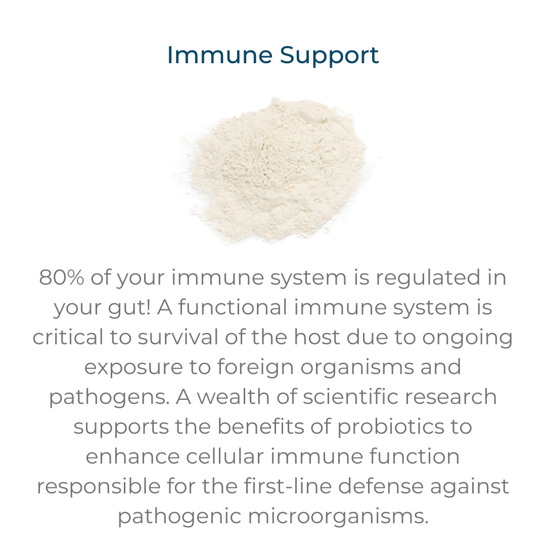 Immune Support –80% of your immune system is regulated in your gut! A functional immune system is critical to survival of the host due to ongoing exposure to foreign organisms and pathogens. A wealth of scientific research supports the benefits of probiotics to enhance cellular immune function responsible for the first-line defense against pathogenic microorganisms.