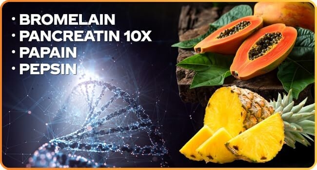 enzymes plant-based animal sourced