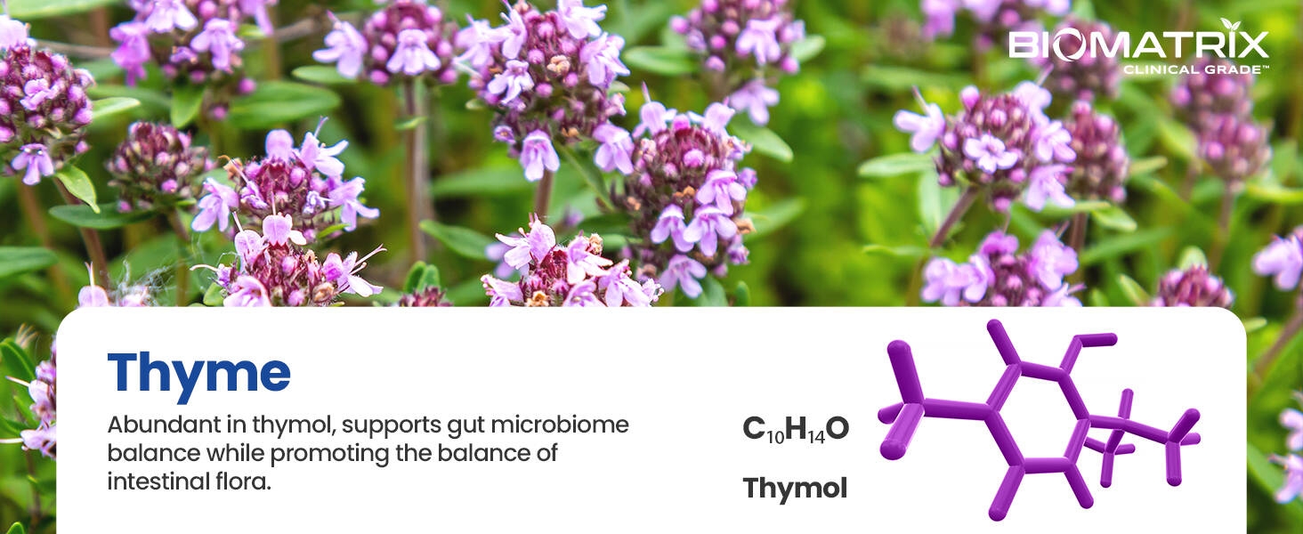 thyme oil