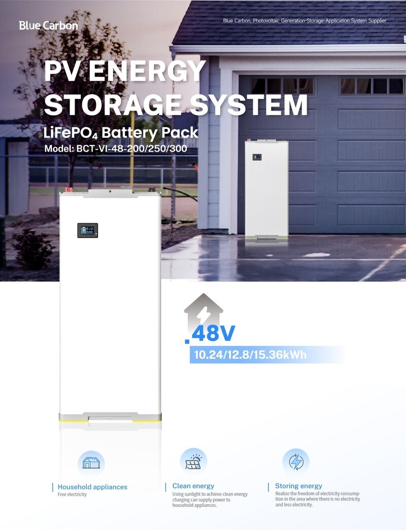 BCT-VI-48-200-250-300-EN1