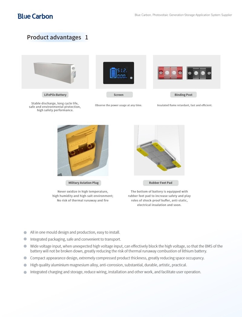 BCT-VI-48-200-250-300-EN4