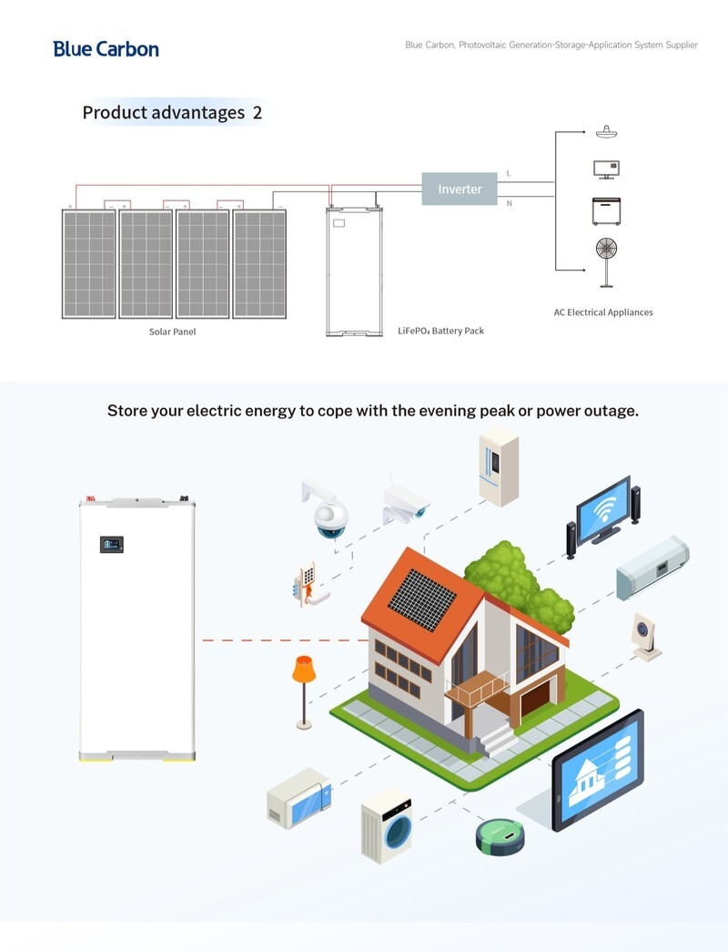 BCT-VI-48-200-250-300-EN5