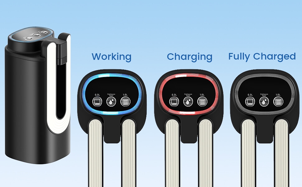 Electric Water Dispenser Pump