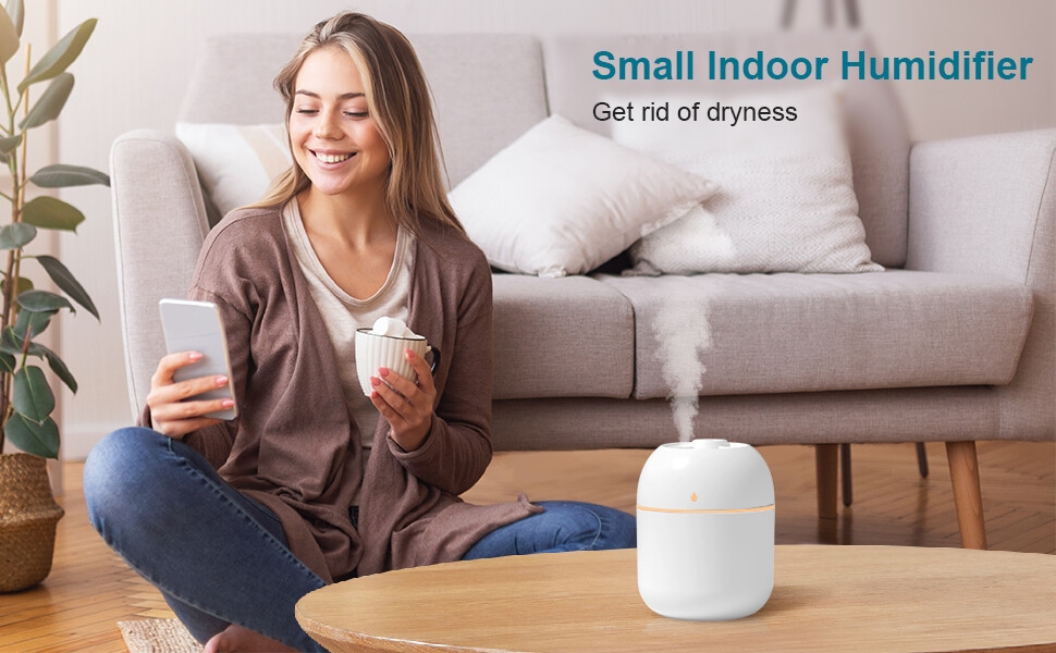mini humidifier
