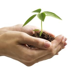 Tree in hand